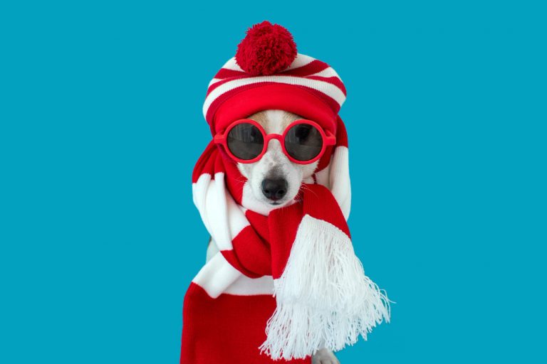 Ropa navideña para mascotas – Ho, ho, ho
